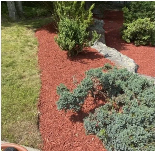 Custom lawn mowing service in East Stroudsburg, PA - Lucchetti’s Landscaping