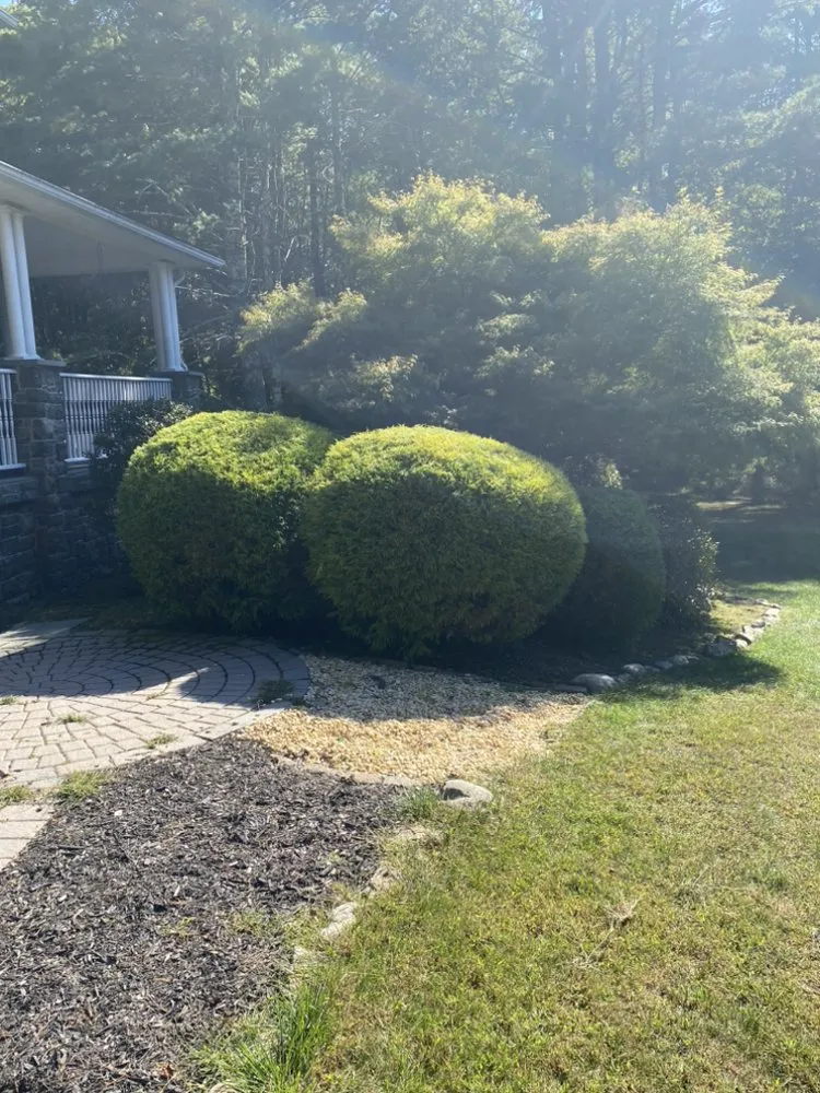 Affordable yard cleanup service experts serving East Stroudsburg, PA - Lucchetti’s Landscaping
