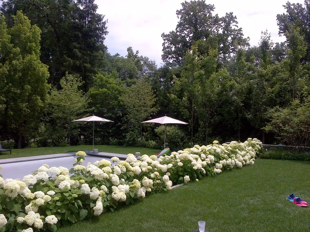Reliable landscaping services in New Rochelle, NY - Lucente Landscaping