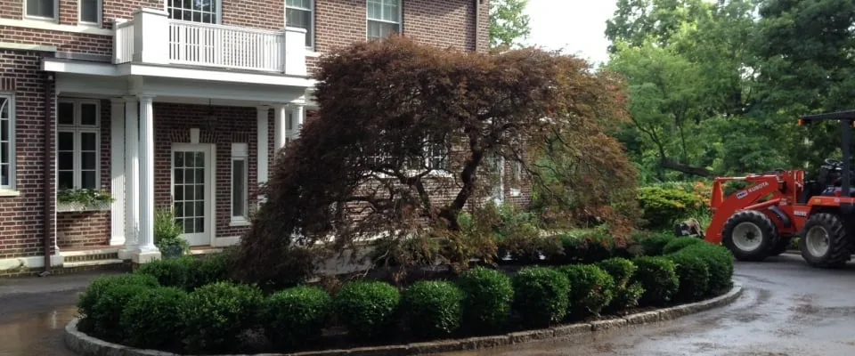 Professional landscape installation for outdoor upgrades in New Rochelle, NY by Lucente Landscaping