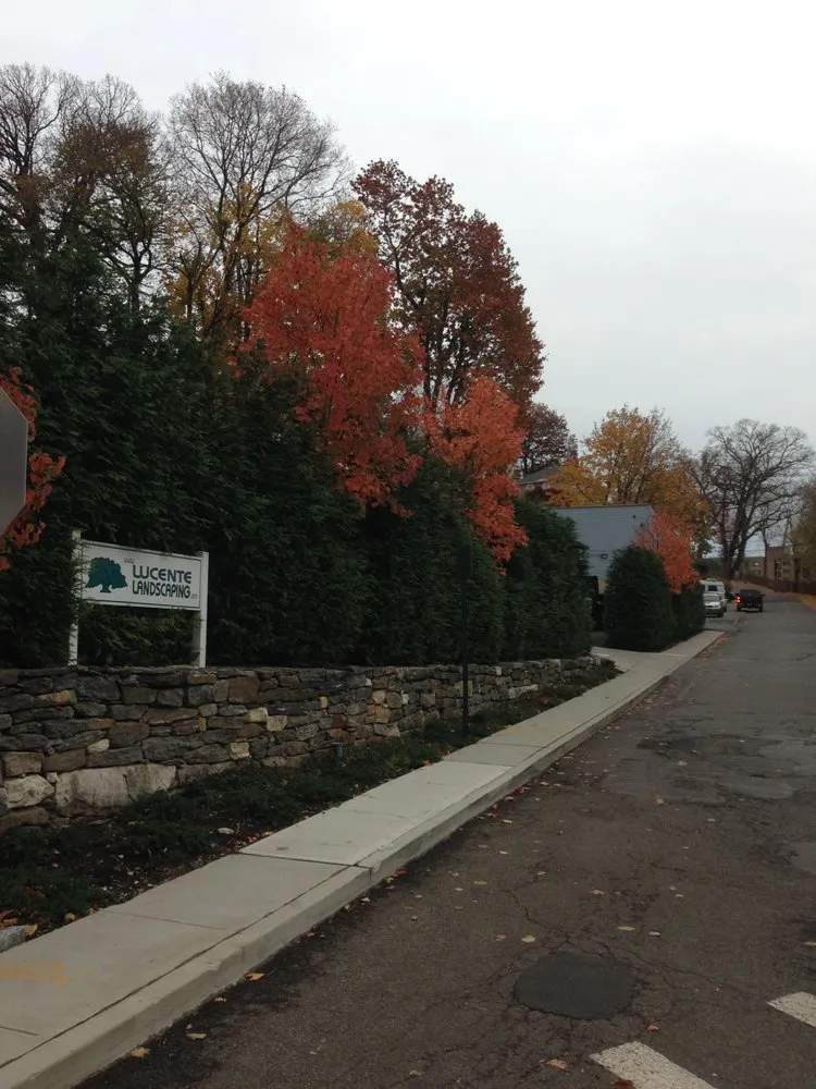 Expert outdoor landscaping experts serving New Rochelle, NY - Lucente Landscaping