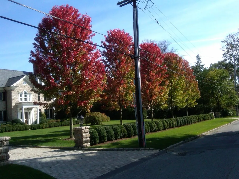 Custom yard maintenance in New Rochelle, NY by Lucente Landscaping