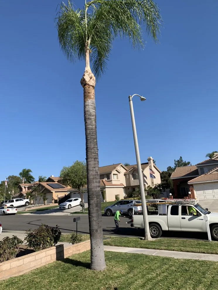 Expert landscape design for outdoor upgrades in Norco, CA by Lucero General Landscaping