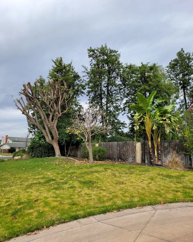 Professional yard maintenance experts serving Norco, CA - Lucero General Landscaping