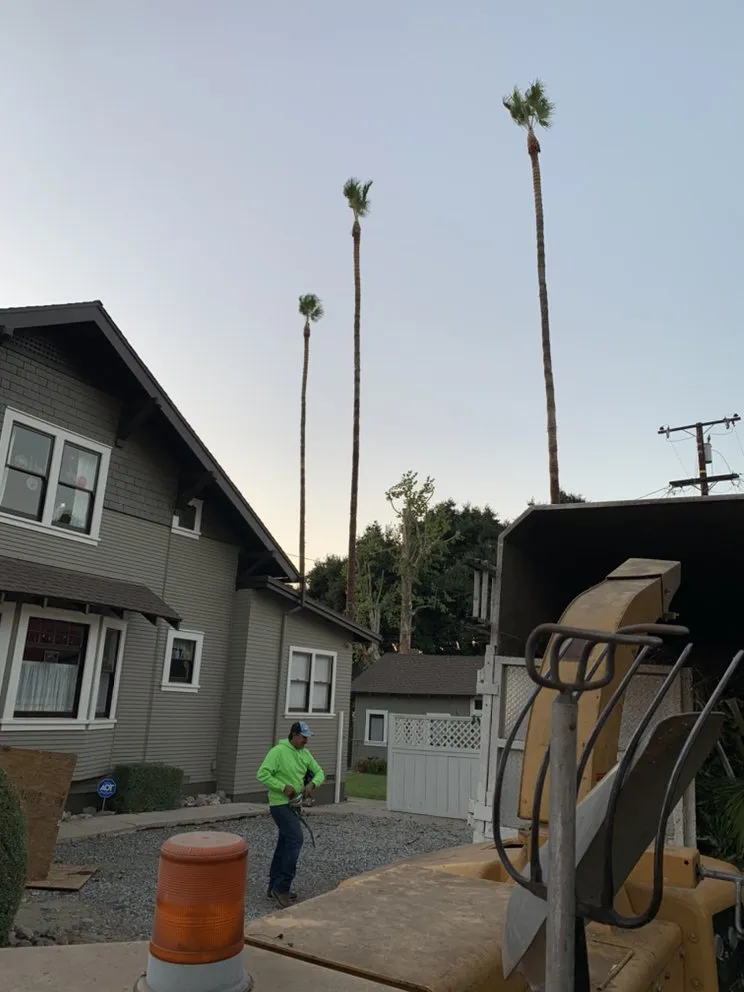 Expert outdoor landscaping experts serving Norco, CA - Lucero General Landscaping