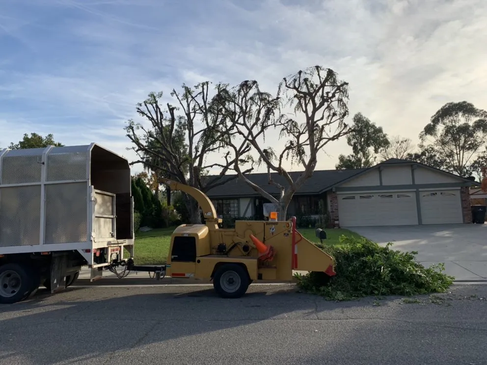 Reliable landscape installation experts serving Norco, CA - Lucero General Landscaping