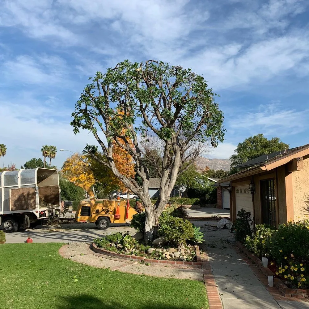 Reliable landscaping services in Norco, CA - Lucero General Landscaping