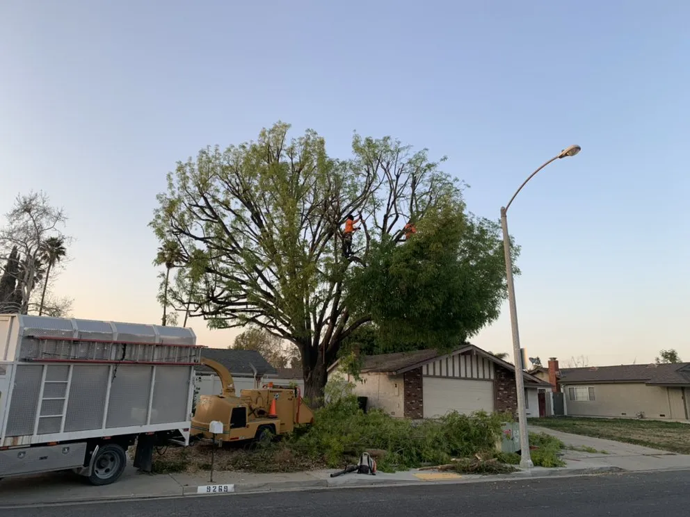 Custom garden landscaping experts serving Norco, CA - Lucero General Landscaping