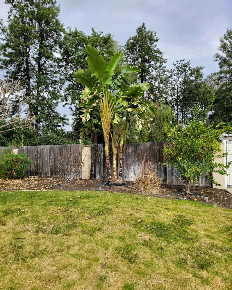 Professional residential landscaping in Norco, CA - Lucero General Landscaping