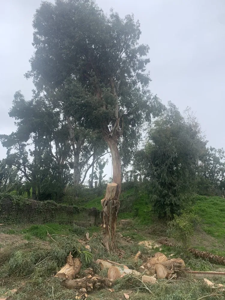 Trusted outdoor landscaping experts serving Norco, CA - Lucero General Landscaping