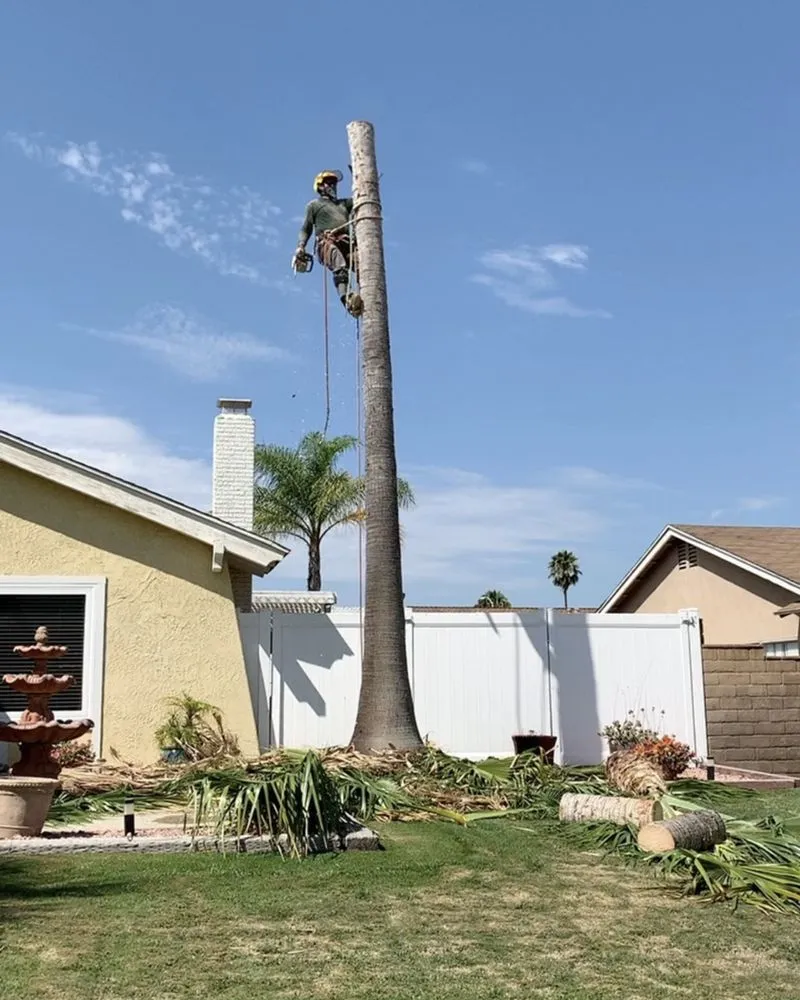 Affordable lawn care service near you across Norco, CA - Lucero General Landscaping