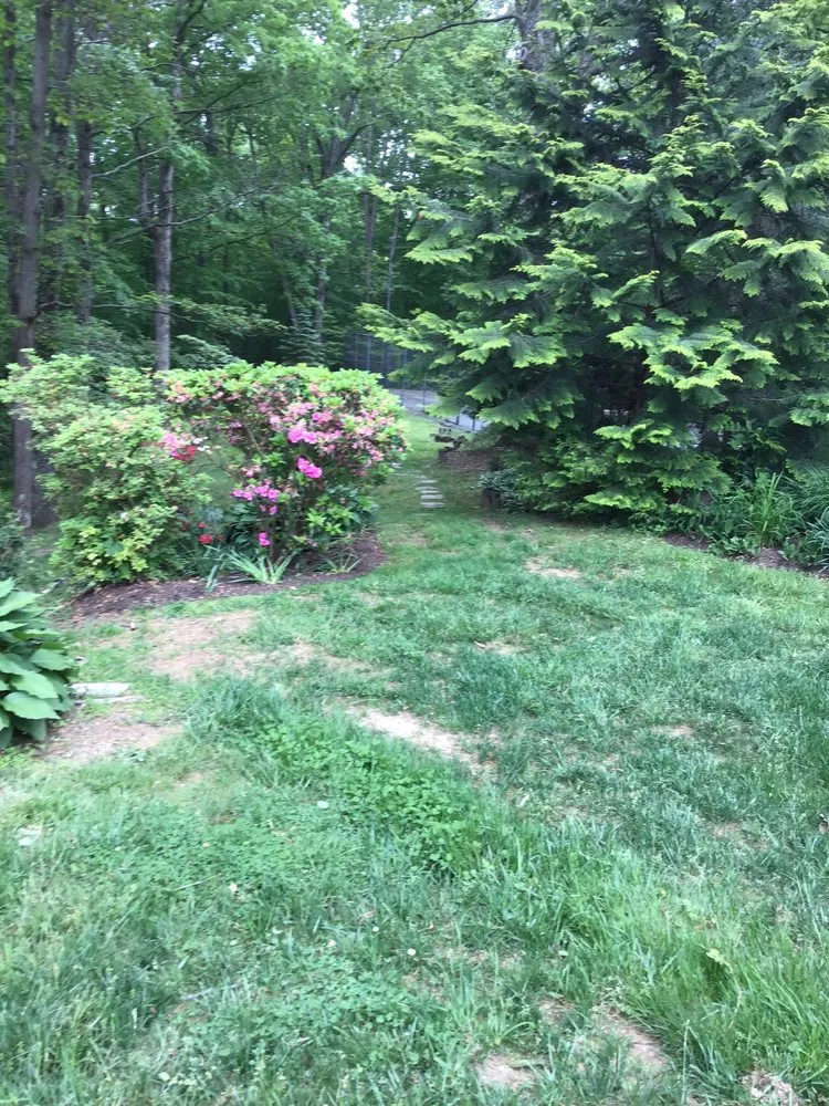 Professional lawn mowing service near you across Silver Spring, MD - Lucero Landscaping