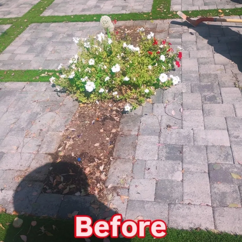 Reliable garden landscaping near you across Youngtown, AZ - Lucero Landscaping