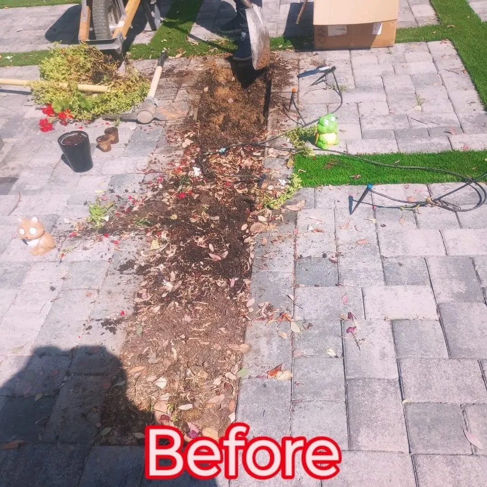 Trusted yard maintenance for homes across Youngtown, AZ - Lucero Landscaping