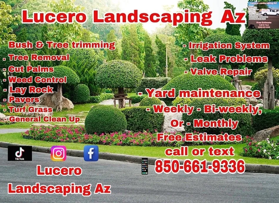 Expert yard cleanup service with custom design in Youngtown, AZ by Lucero Landscaping