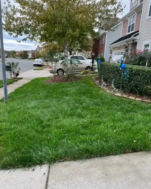 Expert garden landscaping in Matthews, NC by Luceros Landscaping and Tree Services