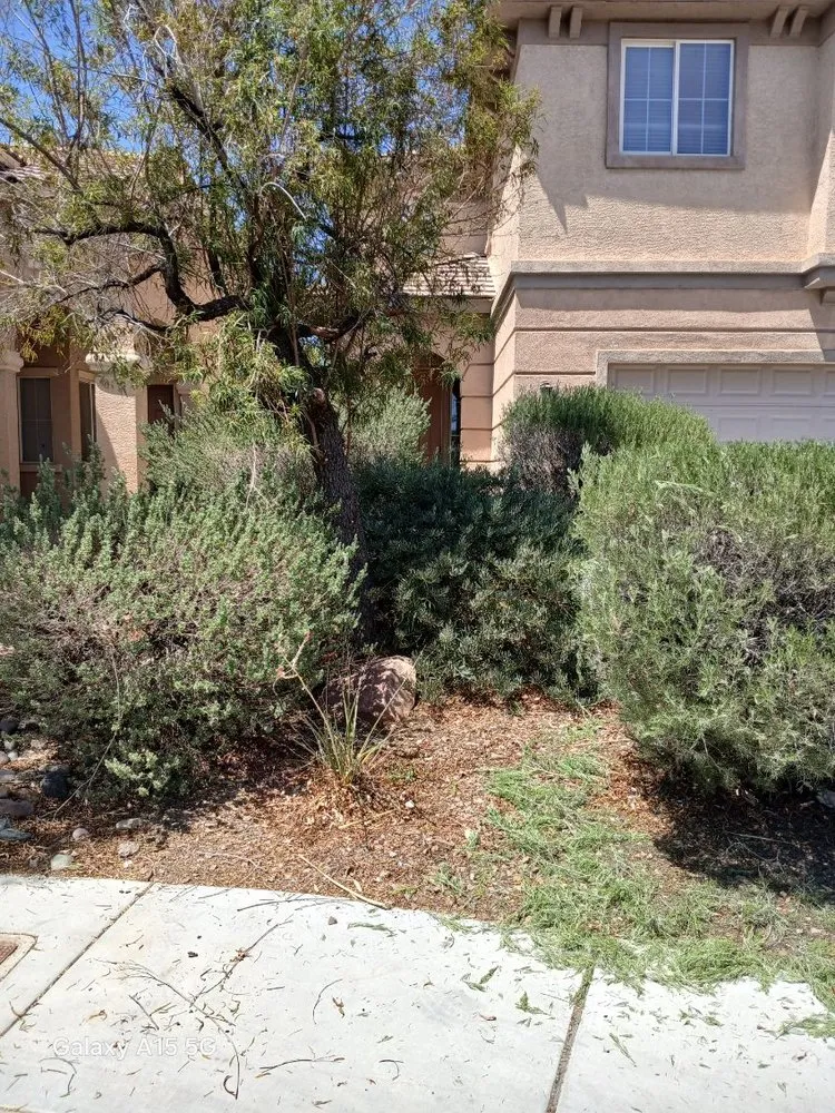Affordable garden landscaping experts serving Las Vegas, NV - Lucero's Landscaping