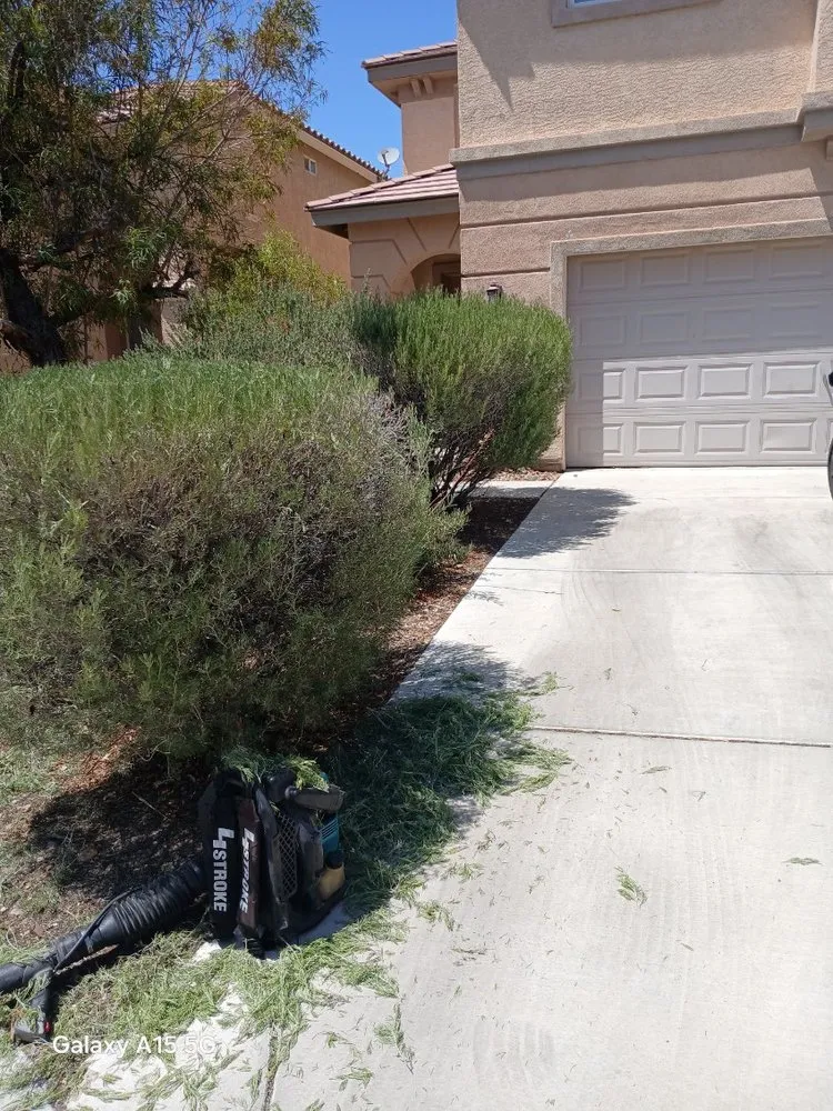Expert yard cleanup service in Las Vegas, NV - Lucero's Landscaping