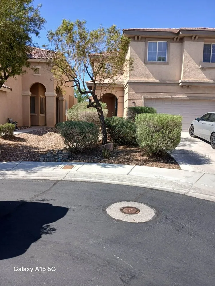 Reliable outdoor landscaping in Las Vegas, NV by Lucero's Landscaping