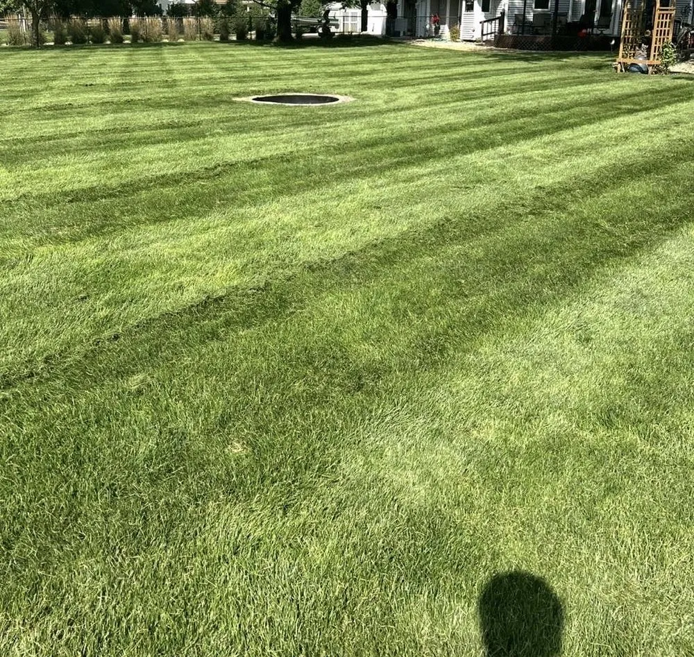 Affordable landscape installation for residential properties in Battle Creek, MI by Lucero's Lawncare