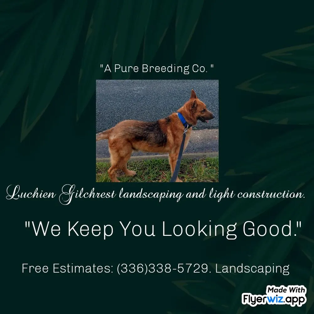 Affordable landscape design in Greensboro, NC by Luchien Gilchrest landscaping and light