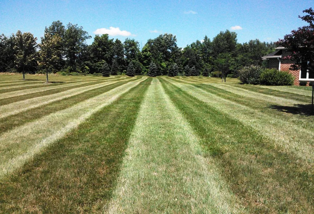 Expert lawn care service for residential properties in Harrod, OH by Luchini's Mowing Service