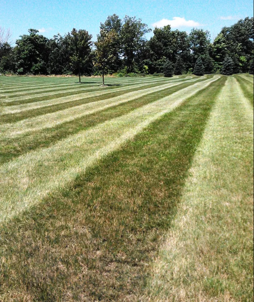 Professional landscape design with custom design across Harrod, OH - Luchini's Mowing Service