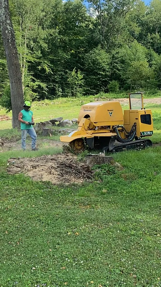 Affordable landscaping services experts serving Ridgway, PA - Luchs Tree Service