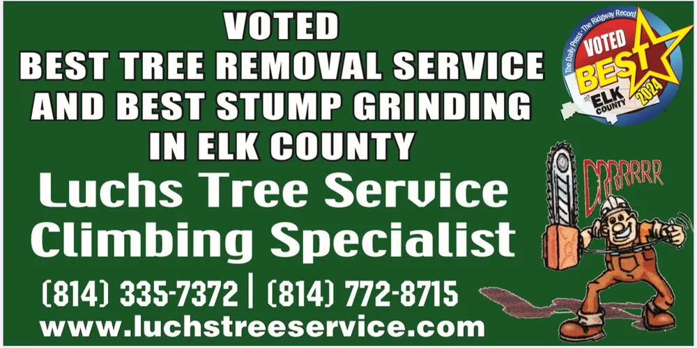 Affordable yard cleanup service in Ridgway, PA - Luchs Tree Service