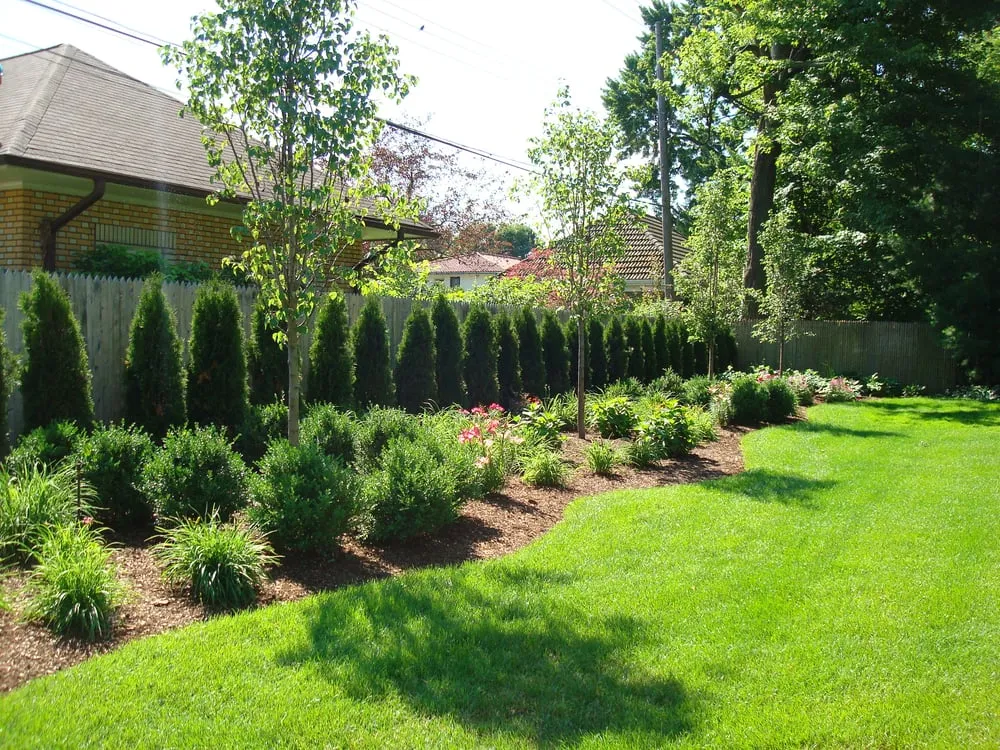 Affordable yard maintenance for year-round maintenance in Roseville, MI by Lucia Landscaping