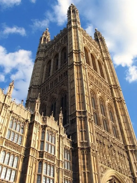 Affordable yard cleanup service in Redwood City, CA - Luciano Concrete Construction