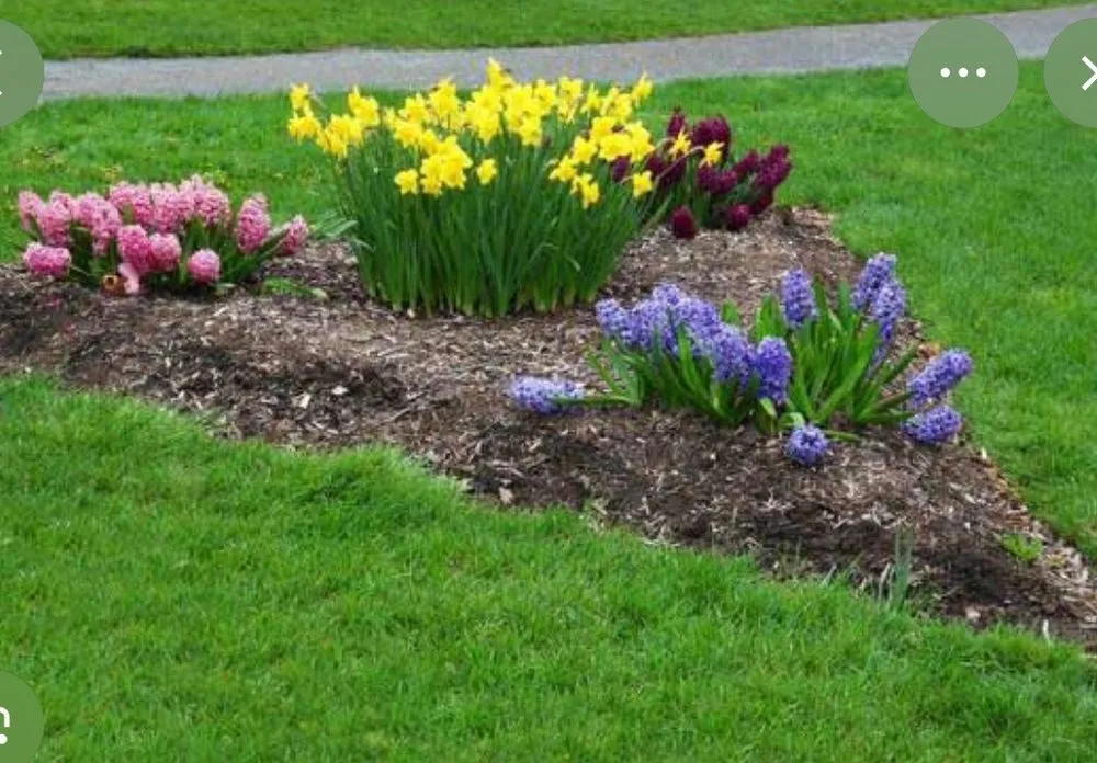 Custom lawn mowing service in Falls Church, VA - Luciano Landscaping