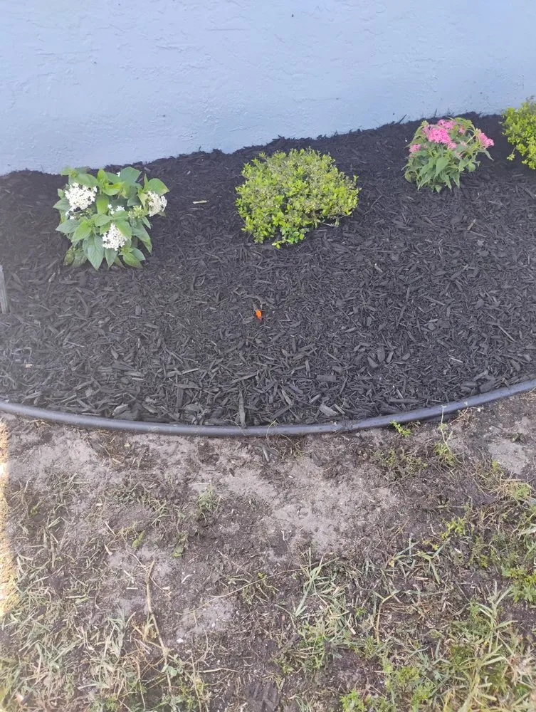 Expert lawn care service in Lake Worth Beach, FL by Luciano Lanscaping