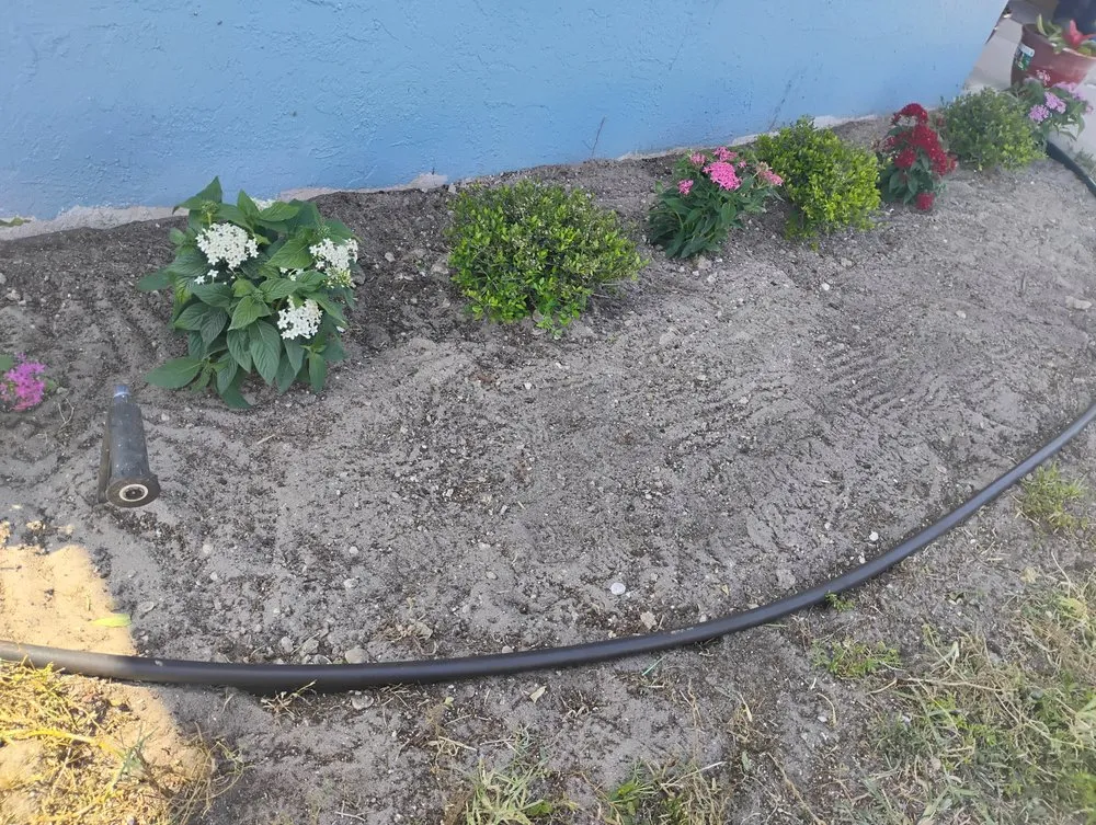 Trusted landscape installation for beautiful yards across Lake Worth Beach, FL - Luciano Lanscaping