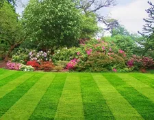 Affordable lawn care service in Greenacres, FL - Luciano Sanchez Lawn Services