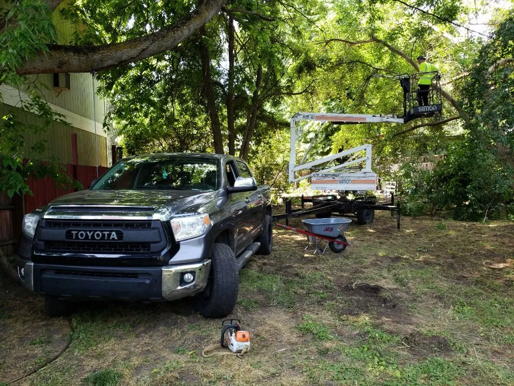 Custom outdoor landscaping for year-round maintenance in The Dalles, OR by Luciano Tree Service