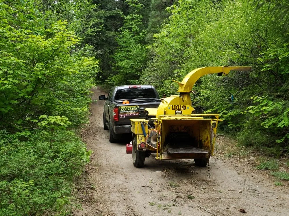 Custom yard cleanup service for residential properties across The Dalles, OR - Luciano Tree Service