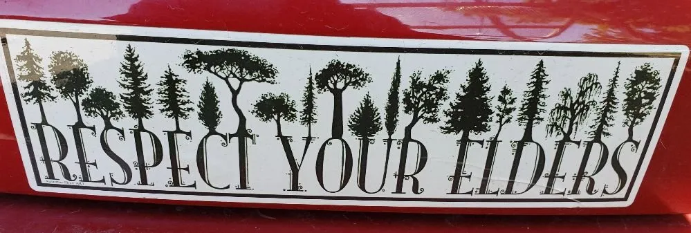 Top-rated residential landscaping in The Dalles, OR - Luciano Tree Service