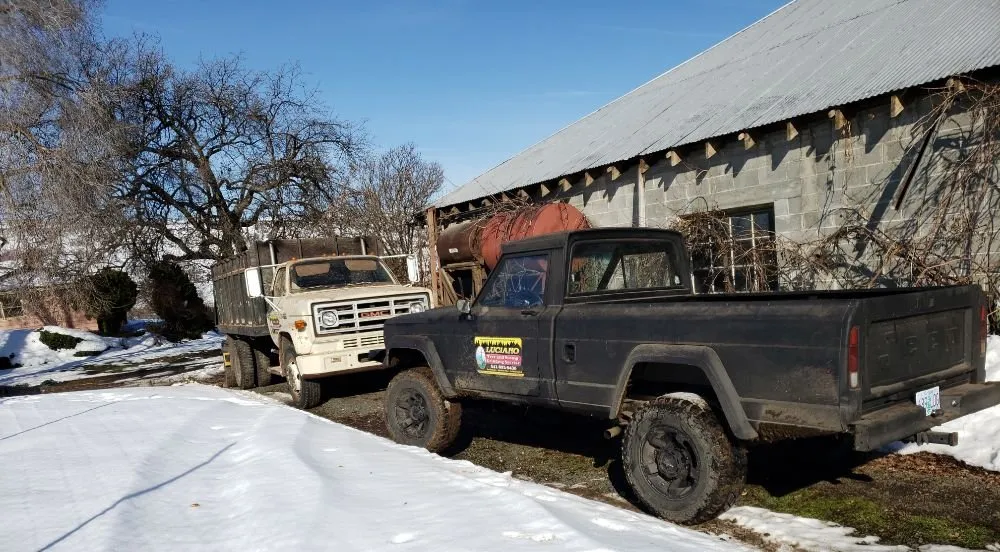 Expert lawn care service experts serving The Dalles, OR - Luciano Tree Service