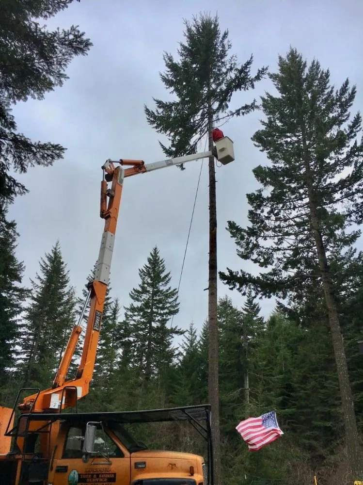 Affordable landscape installation for residential properties across The Dalles, OR - Luciano Tree Service