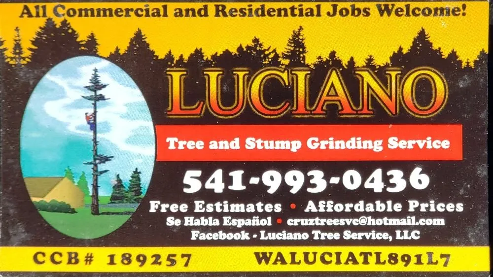 Professional yard cleanup service in The Dalles, OR - Luciano Tree Service