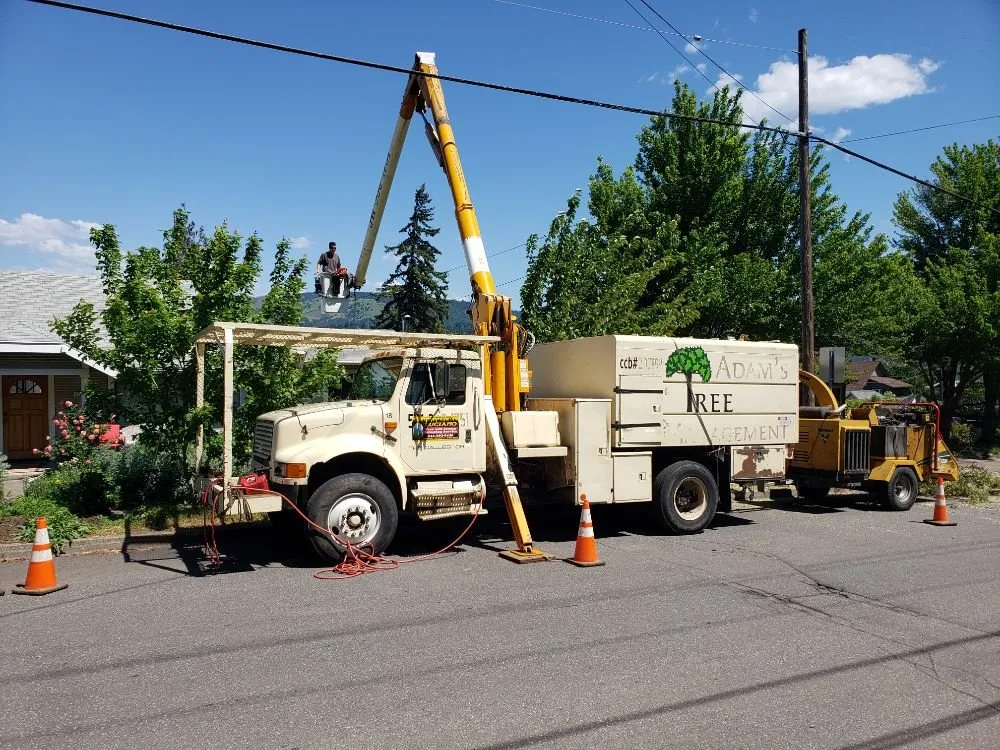 Top-rated lawn care service for residential properties across The Dalles, OR - Luciano Tree Service