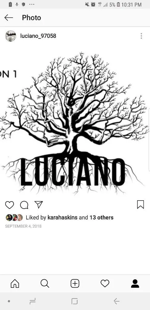 Top-rated outdoor landscaping for year-round maintenance across The Dalles, OR - Luciano Tree Service