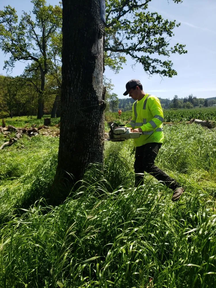 Reliable outdoor landscaping in The Dalles, OR by Luciano Tree Service
