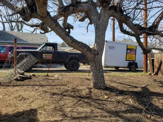 Luciano Tree Service