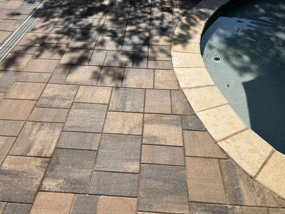 Trusted yard cleanup service experts serving Austin, TX - Luciano's Landscape & Design