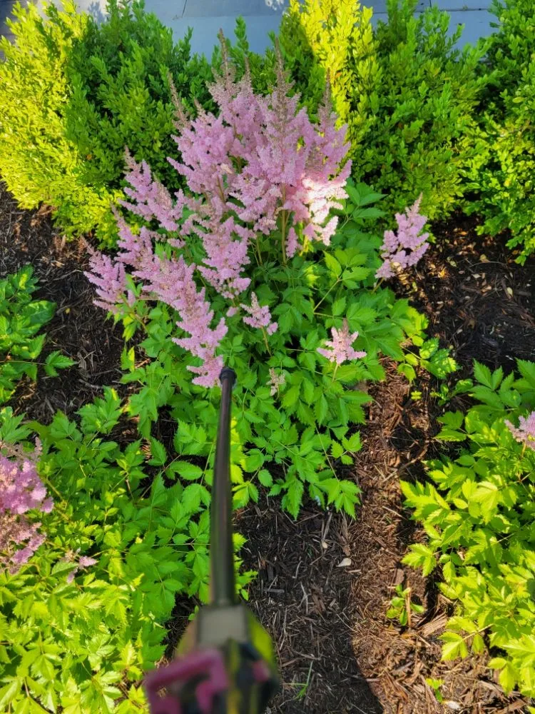 Top-rated outdoor landscaping in West Chicago, IL - Luciano's Landscaping