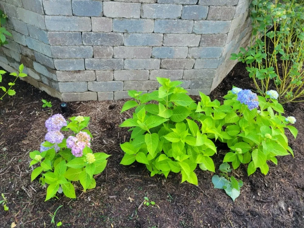 Reliable lawn care service for outdoor upgrades in West Chicago, IL by Luciano's Landscaping