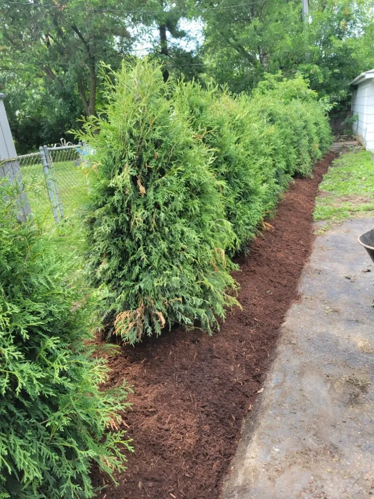 Expert lawn care service for outdoor upgrades across West Chicago, IL - Luciano's Landscaping