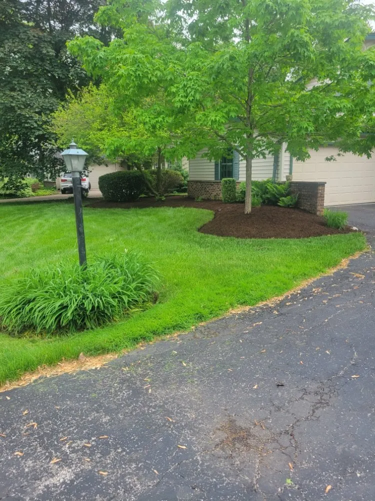 Affordable yard maintenance in West Chicago, IL - Luciano's Landscaping